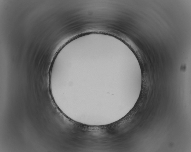 X0000090750807200708031606