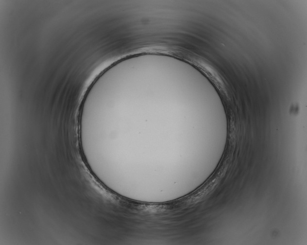 X0000090750808200708031606