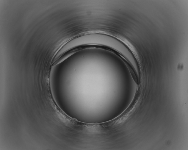 X0000090750809200708031606