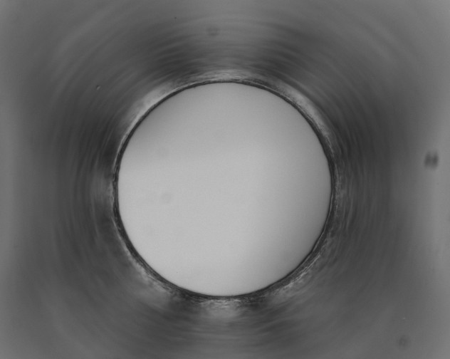 X0000090750810200708031606