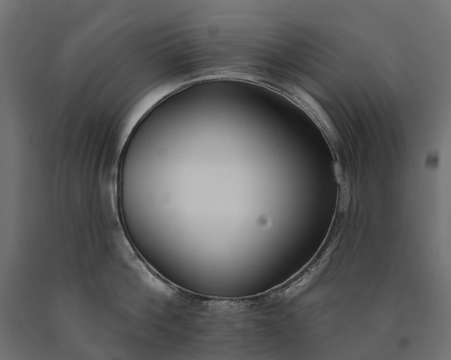 X0000090750812200708031606