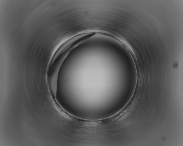 X0000090750813200708031606