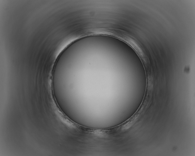 X0000090750814200708031606