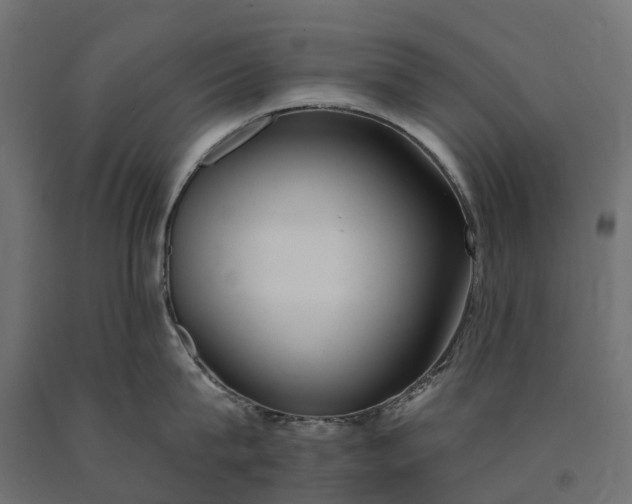 X0000090750815200708031606