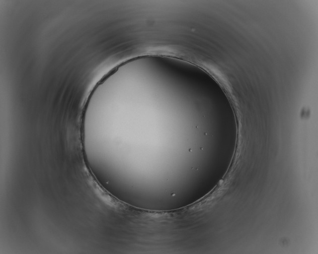 X0000090750816200708031606