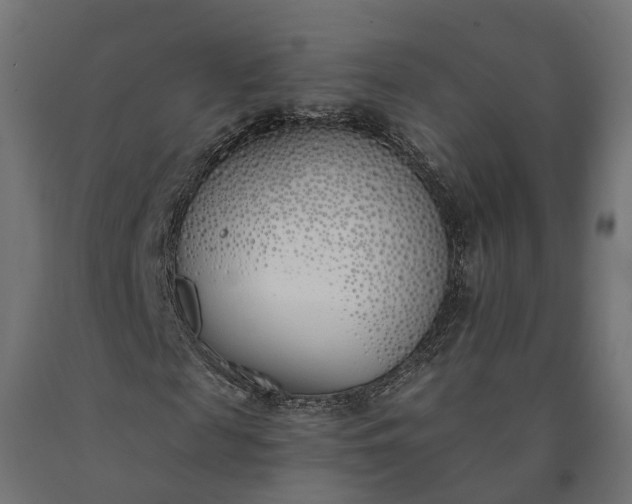 X0000090750817200708031605