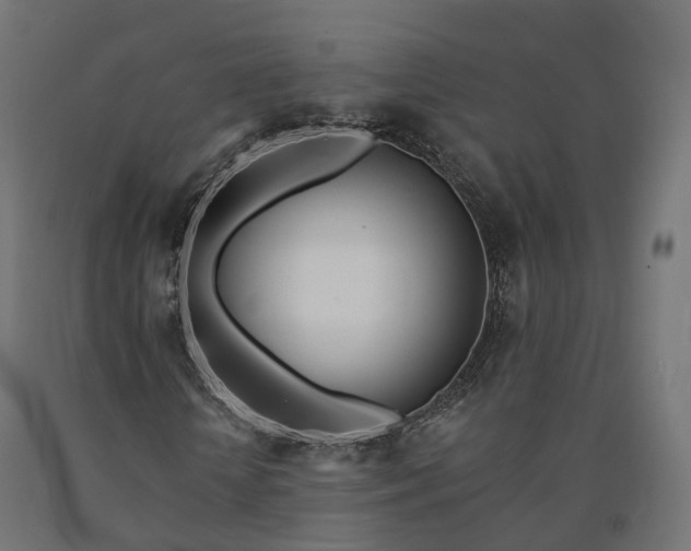 X0000090750818200708031605