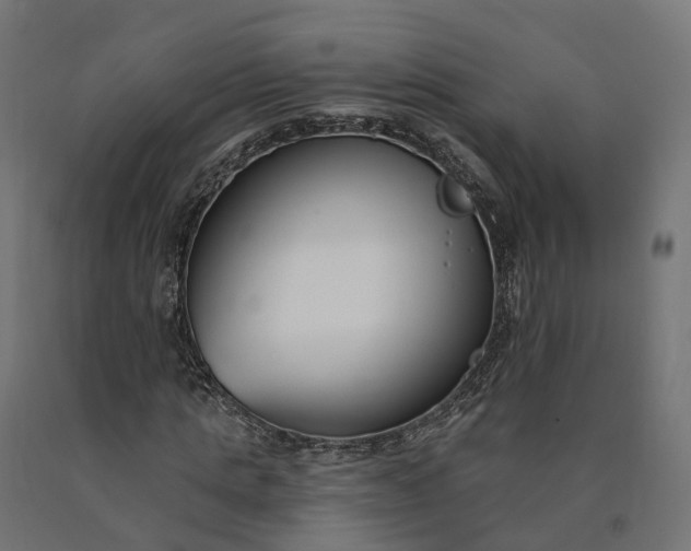 X0000090750821200708031605