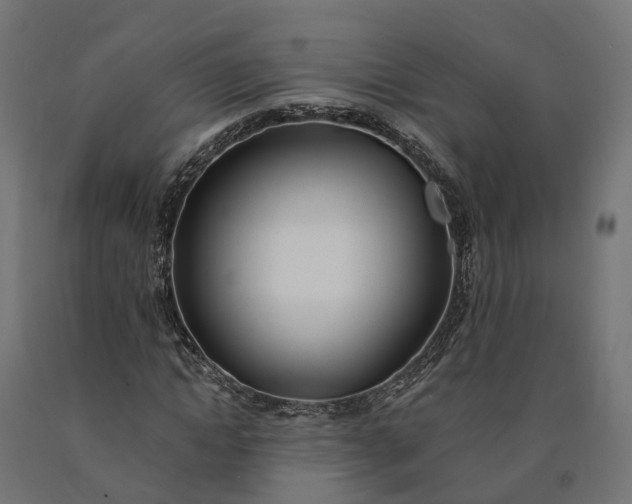 X0000090750822200708031605