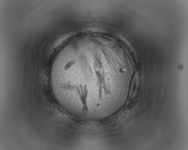 X0000090750823200708031606