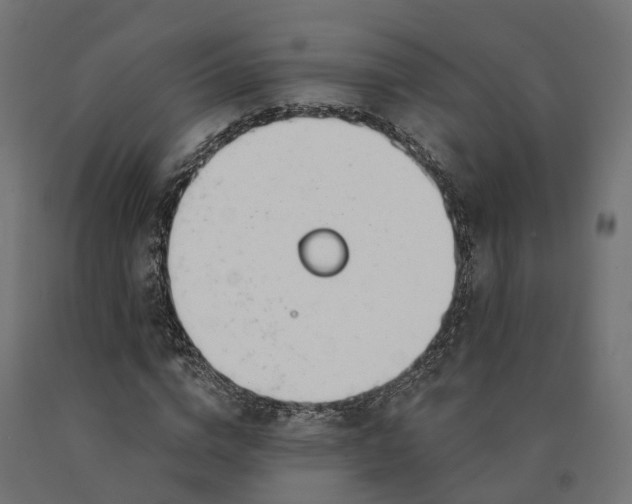 X0000090750824200708031606