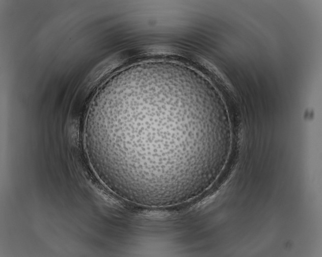 X0000090750825200708031606