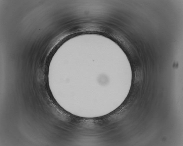 X0000090750828200708031606