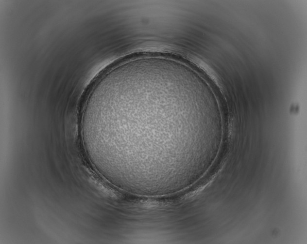 X0000090750829200708031606