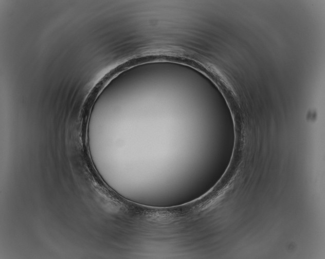 X0000090750830200708031606