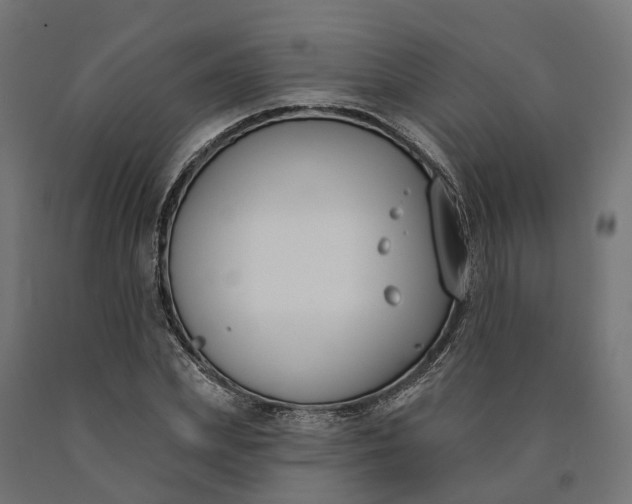 X0000090750831200708031606