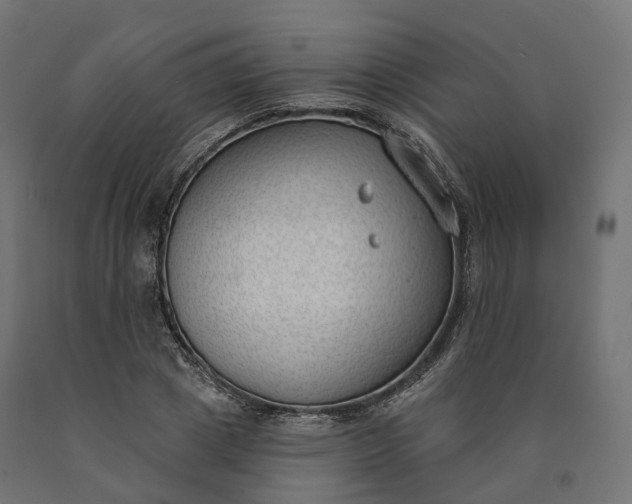 X0000090750833200708031606