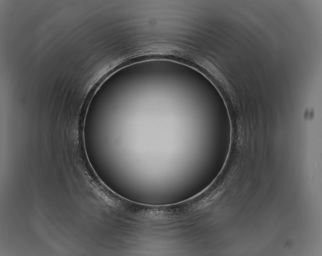 X0000090750834200708031606