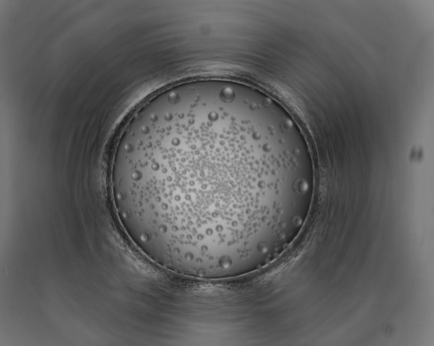 X0000090750835200708031606