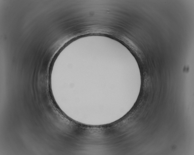 X0000090750836200708031606