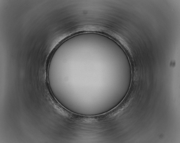 X0000090750837200708031606