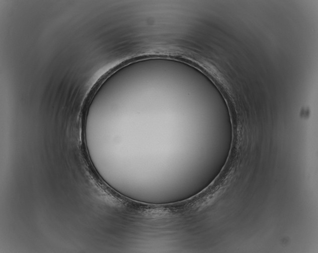 X0000090750838200708031606