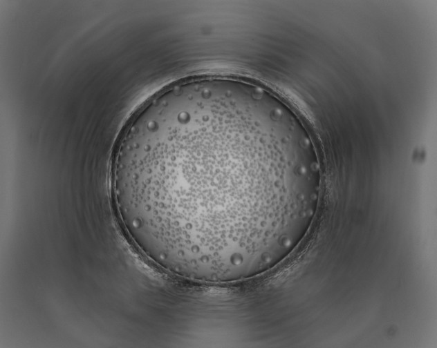 X0000090750839200708031606