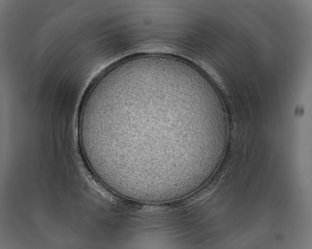 X0000090750840200708031606