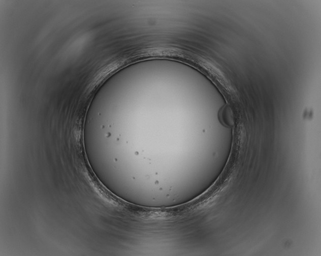 X0000090750841200708031606