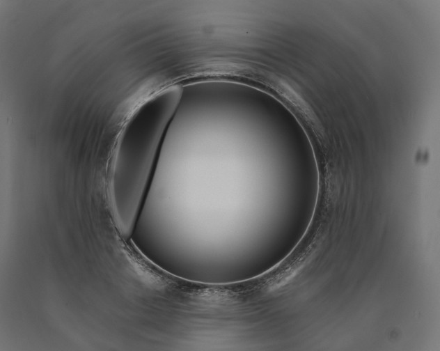 X0000090750842200708031606