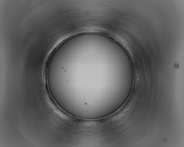 X0000090750843200708031606