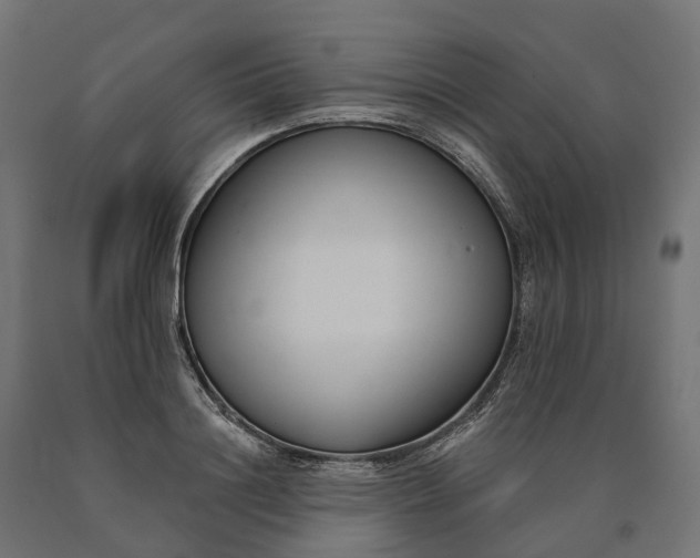 X0000090750844200708031606