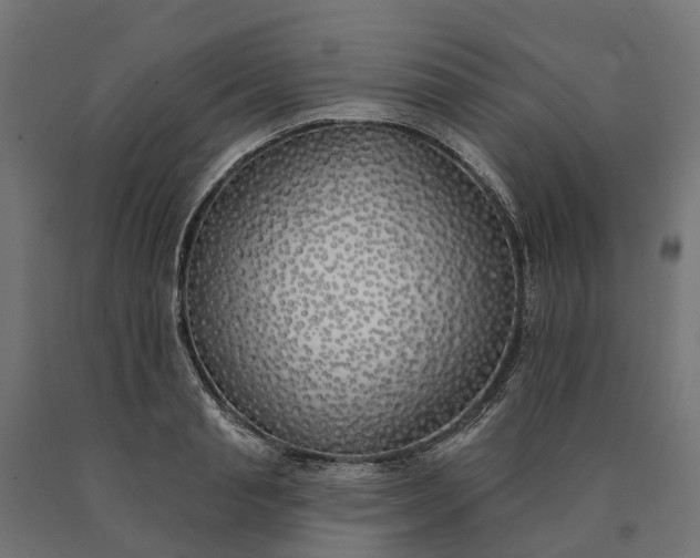 X0000090750845200708031606