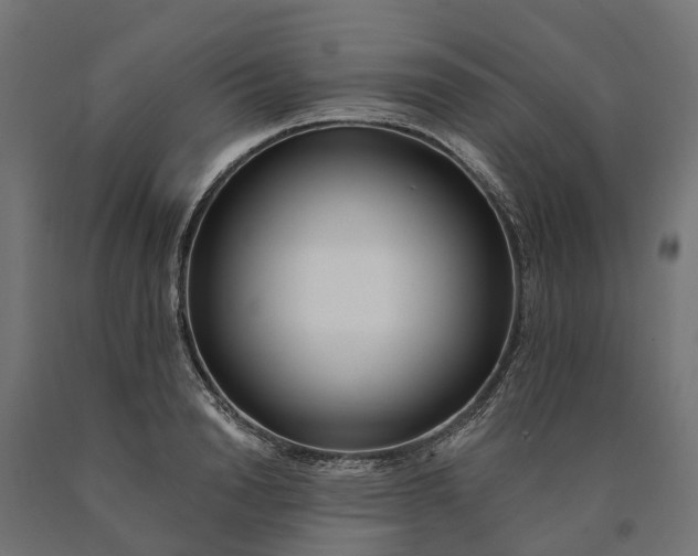 X0000090750846200708031606