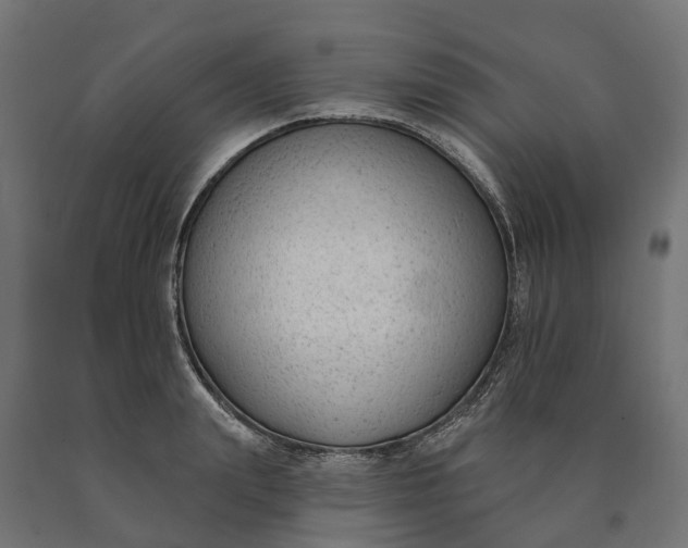 X0000090750847200708031606