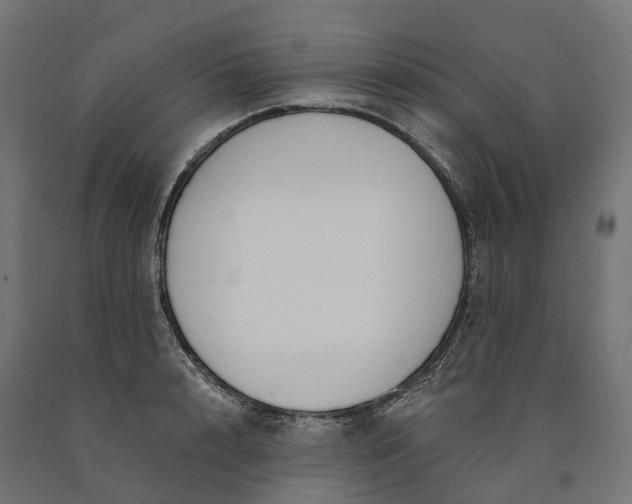 X0000090750848200708031606