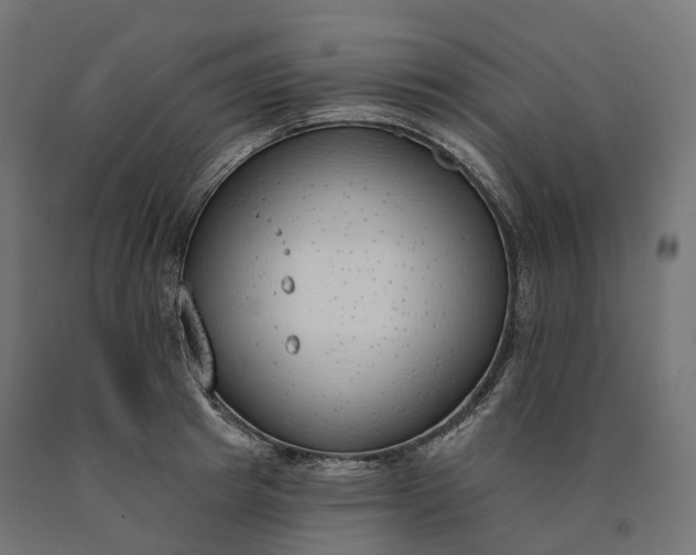 X0000090750849200708031606