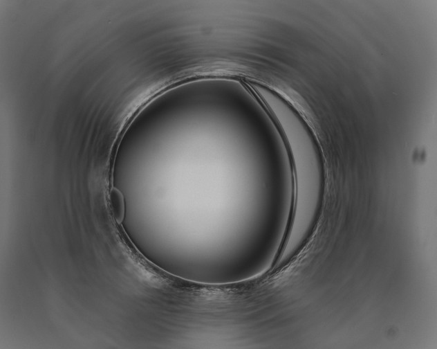 X0000090750850200708031606