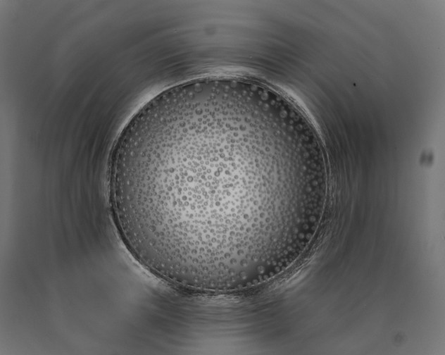 X0000090750851200708031606