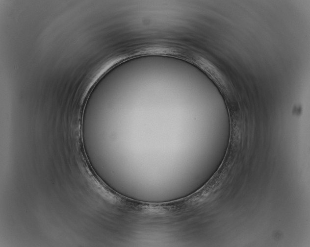 X0000090750852200708031606