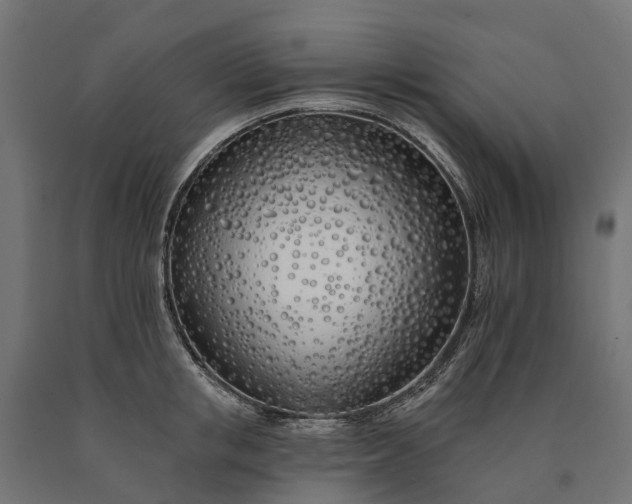 X0000090750853200708031606