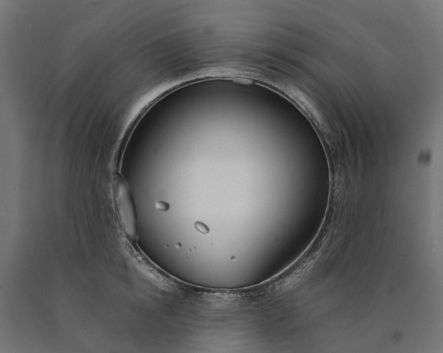 X0000090750854200708031606