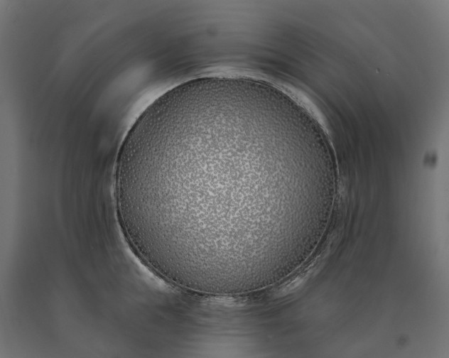 X0000090750855200708031606