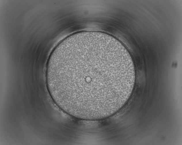 X0000090750856200708031606