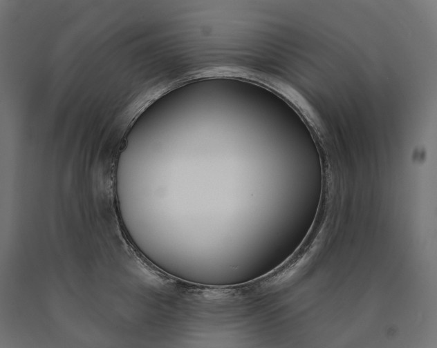 X0000090750857200708031606