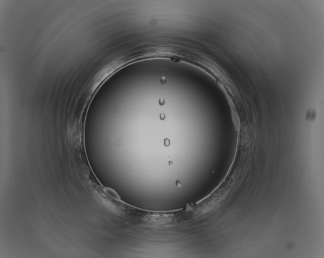 X0000090750858200708031606