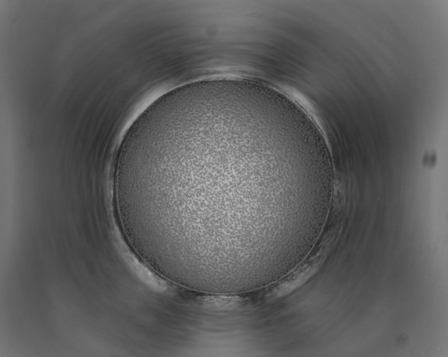 X0000090750859200708031606