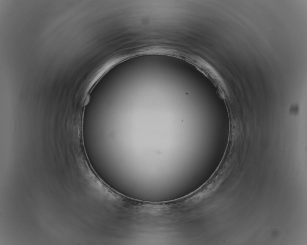 X0000090750860200708031606