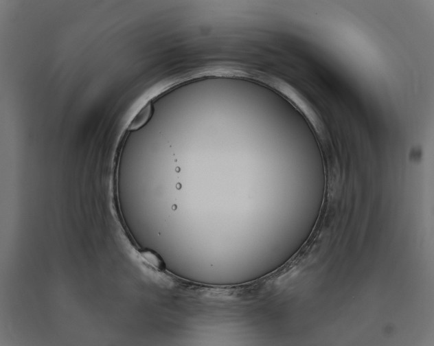 X0000090750861200708031606