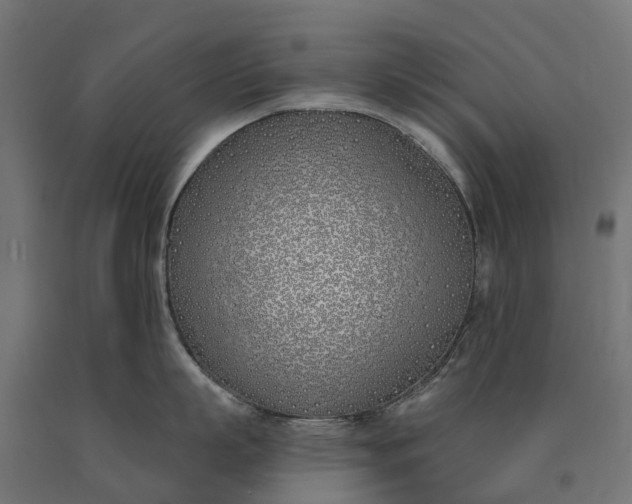 X0000090750863200708031606